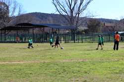 Students playing on oval